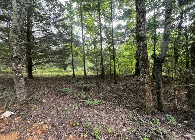 Property at 0 Co Rd 521, Anderson, AL
