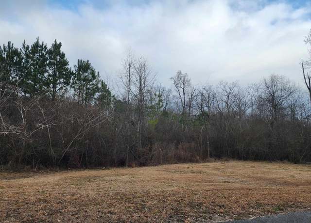 Property at 0 Meldrum St, Cullman, AL