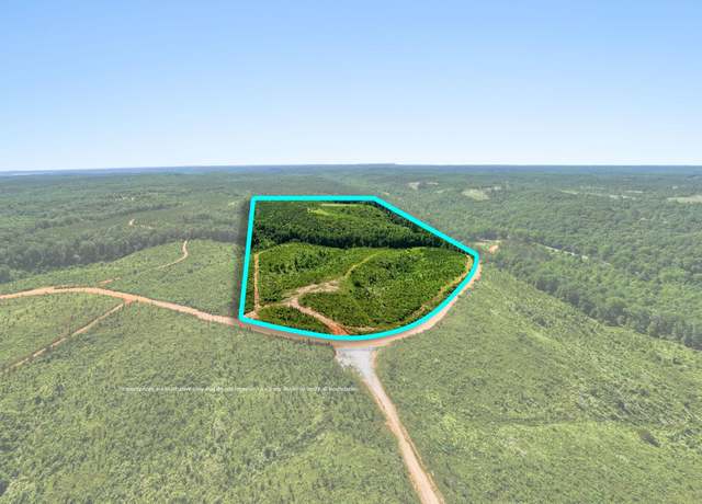 Property at 00 Co Rd 79, Waterloo, AL