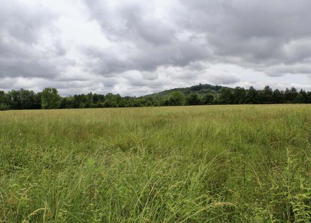 Property at 0 Alabama Hwy 33, Courtland, AL