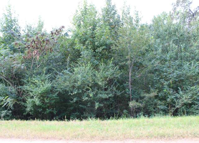 Property at 0 Co Rd 451, Cullman, AL