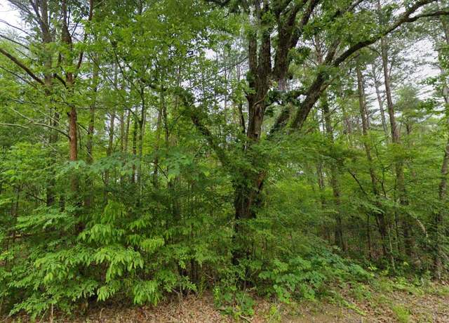 Property at 0 Hwy 17, Florence, AL