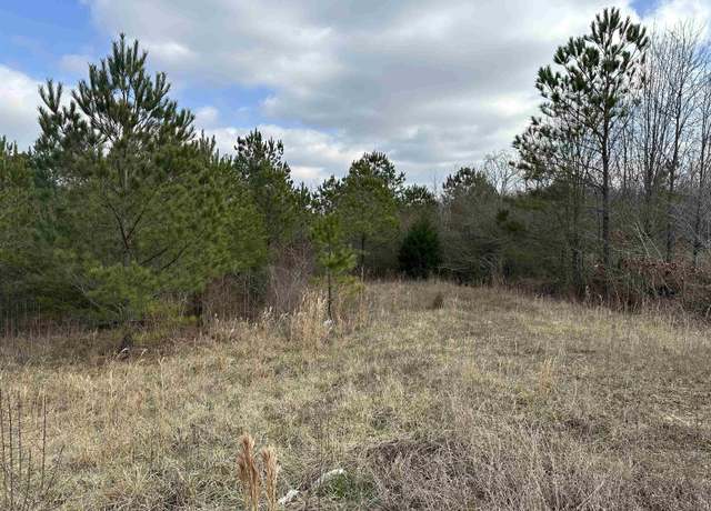 Property at 0 Hwy 237, Phil Campbell, AL