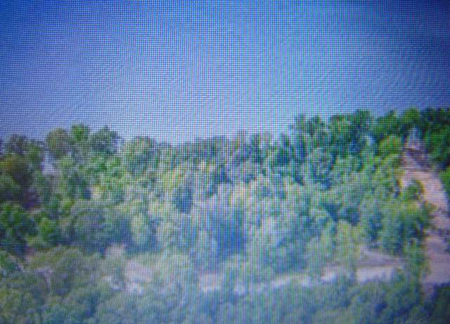 Property at 55 Spyglass Loop, Cherokee, AL