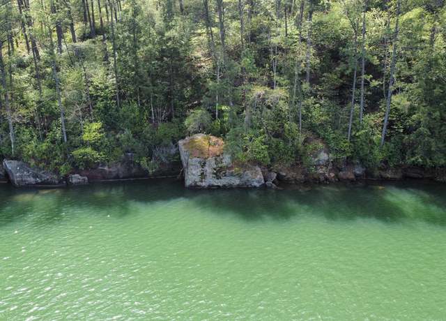 Property at Lot 59 Sipsey Overlook, Double Springs, AL