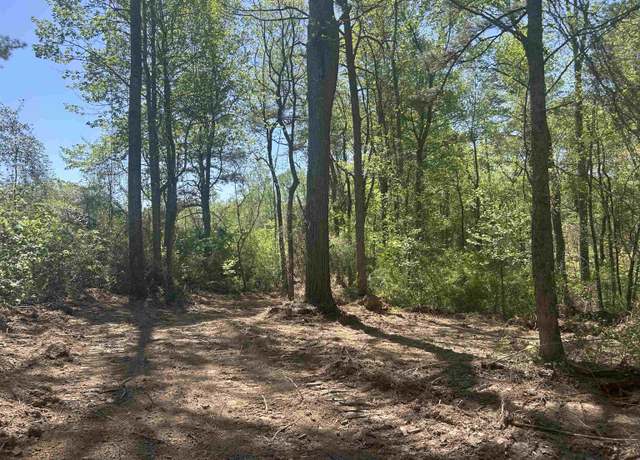 Property at 99 Co Rd 53, Double Springs, AL