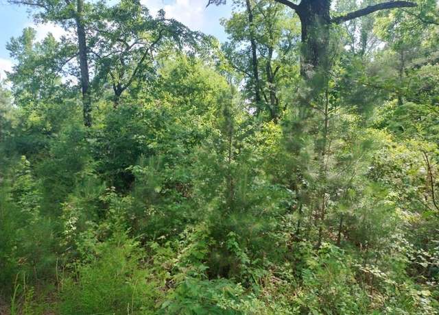 Property at 00 Hwy 195, Double Springs, AL