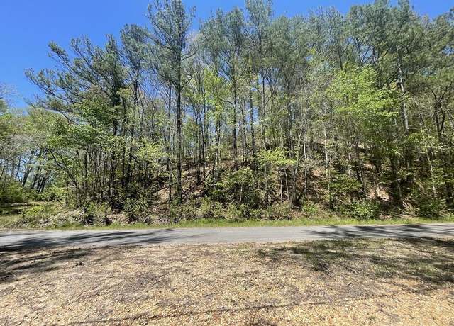 Property at 00 Sartin Rd, Hamilton, AL