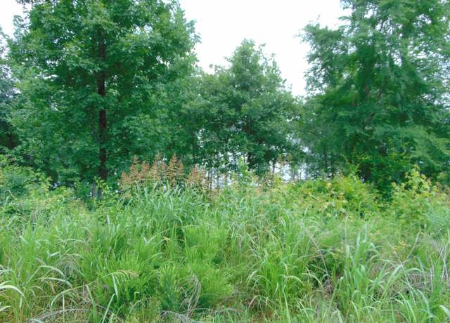 Property at Lot 21 Spyglass Loop, Cherokee, AL