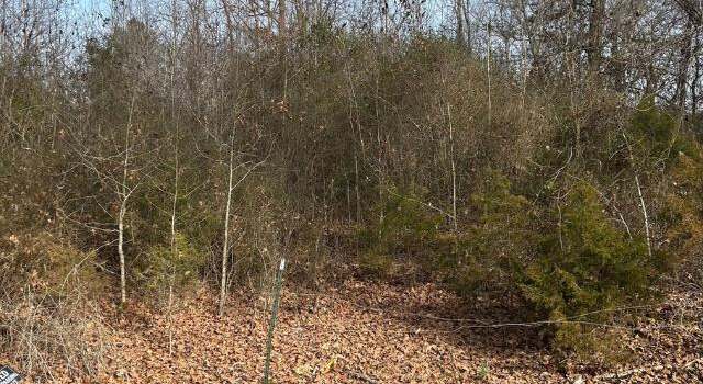 Photo of 0 Co Rd 151, Florence, AL
