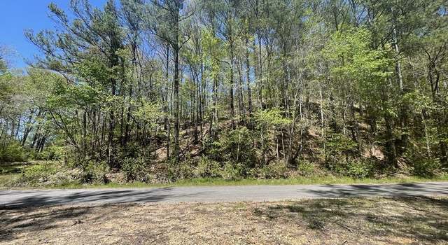 Photo of 00 Sartin Rd, Hamilton, AL