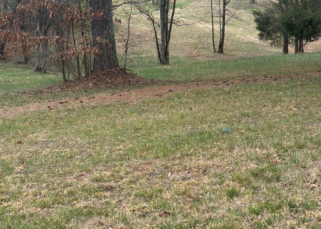 0 Cox Rd