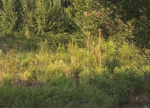 Property at 0 Lee Rd 243, Smiths Station, AL 36877
