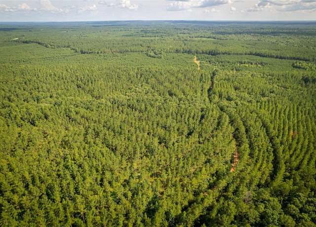 Property at 000 US Hwy 431, Pittsview, AL 36871