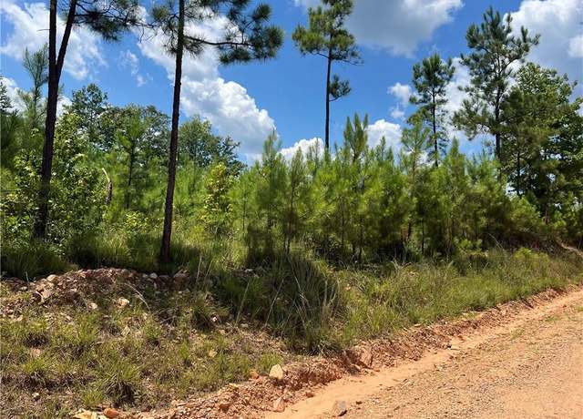 Property at 5041 Lee Rd 279 Rd, Salem, AL 36874