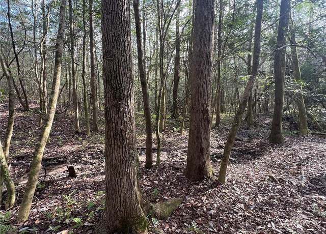 Property at 31 Kings Way, Seale, AL 36875
