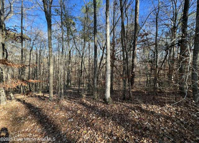 Property at Lots 33,34,35,36 Beach Island Trce, Dadeville, AL 36853