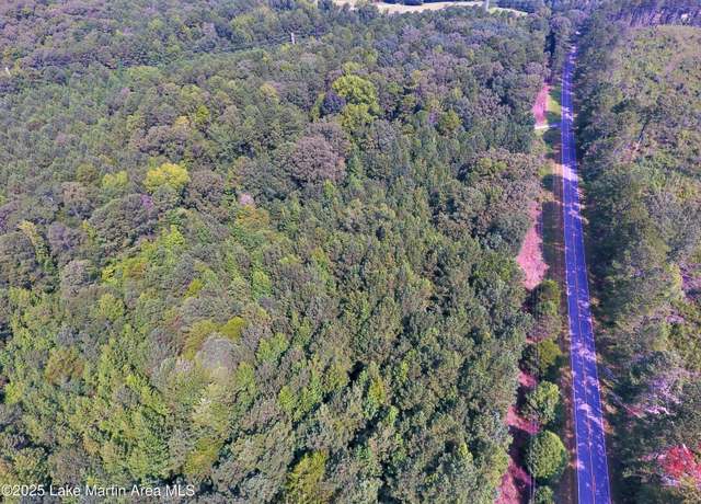 Property at +/- 60 Acres Coosa County RD 5, Sylacauga, AL 35151