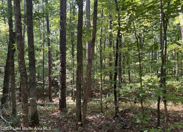 Property at Lot 91 Tall Pine Pl, Dadeville, AL 36853