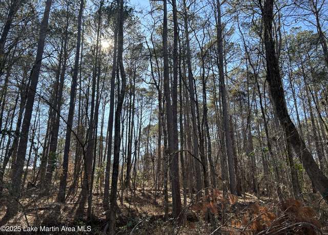 Property at Lot 2 North Forty, Alexander City, AL 35010