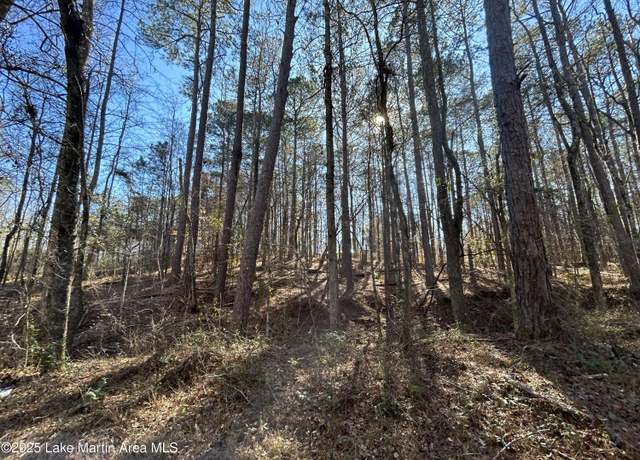 Property at Lot 3 North Forty, Alexander City, AL 35010