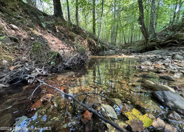 Property at 106+/- ac Walker Dr, Jacksons Gap, AL 36861