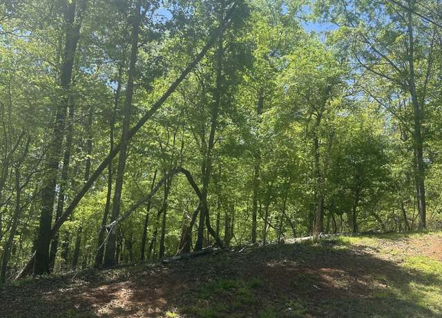 Property at Lot 30 Lakeview Rdg, Dadeville, AL 36853