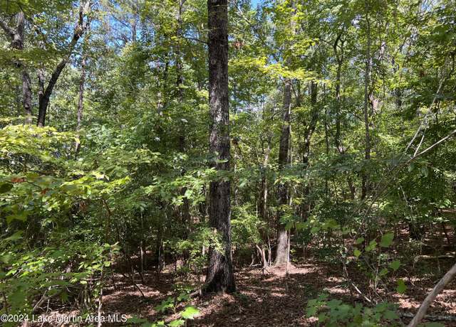 Property at Lot 20 Fern Ridge Dr, Dadeville, AL 36853