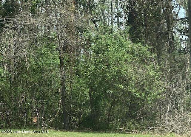 Property at 4 Lots Maplewood Ln Ext & Hickory Cir, Alexander City, AL 35010