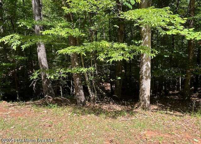 Property at Palmer Dr, Dadeville, AL 36853