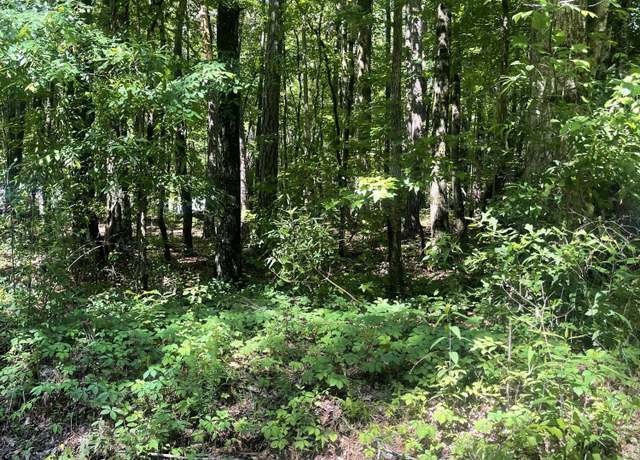 Property at 366 Lower Bottom Rd, Alexander City, AL 35010