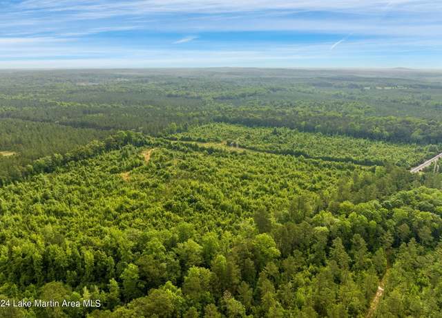 Property at 130 +/- Acres Hwy. 280, Jacksons Gap, AL 36861