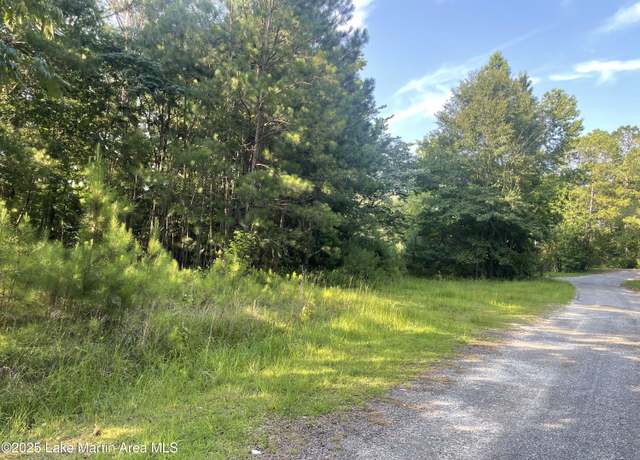Property at Peckerwood Rd, Jacksons Gap, AL 36861