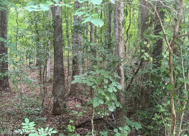Property at Lot 48 Turtle Ln, Dadeville, AL 36853