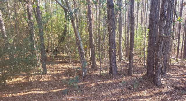 Photo of 10.5 Acres Mccain Rd, Eclectic, AL 36024