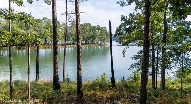 Photo of 127 Big Pup Court Ct, Alexander City, AL 35010
