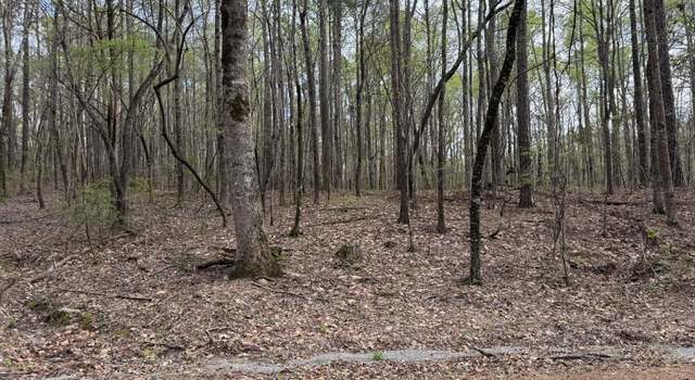 Photo of 4.2 AC Camp Talisi Rd, Eclectic, AL 36024