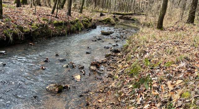 Photo of 87.5 Acres Hwy 49 South, Dadeville, AL 36853