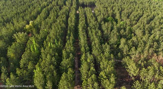 Photo of 35.85+/-AC Churchill Rd, Camp Hill, AL 36850