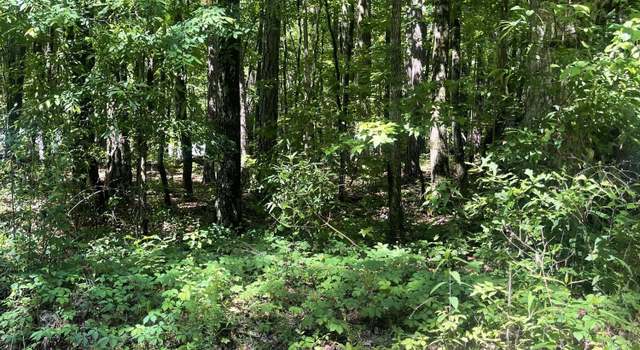 Photo of 366 Lower Bottom Rd, Alexander City, AL 35010