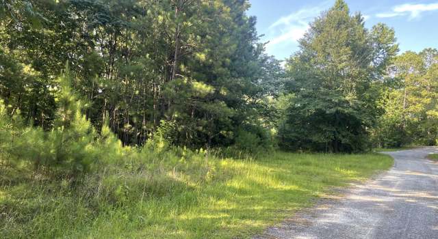 Photo of Peckerwood Rd, Jacksons Gap, AL 36861