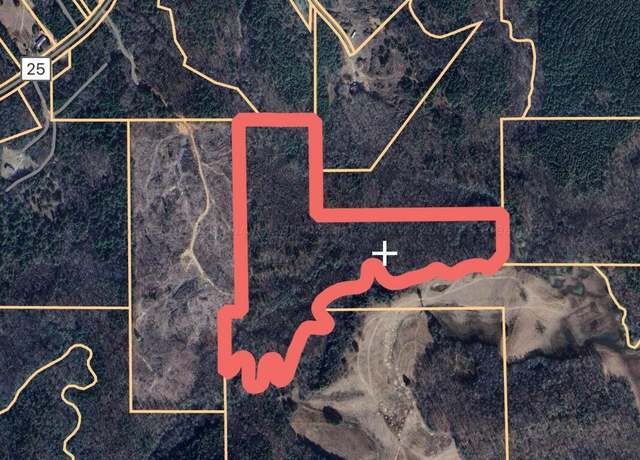 Property at County Road 25, Lynn, AL 35575