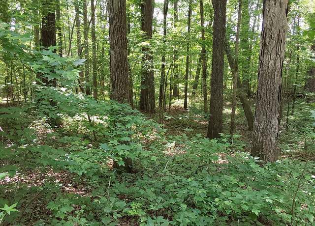 Property at Old Duncan Rd, Arley, AL 35541