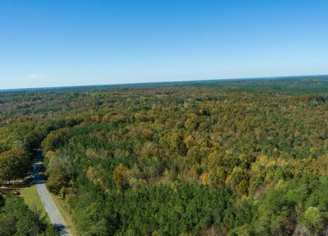 Property at Co Rd 36, Brilliant, AL 35548