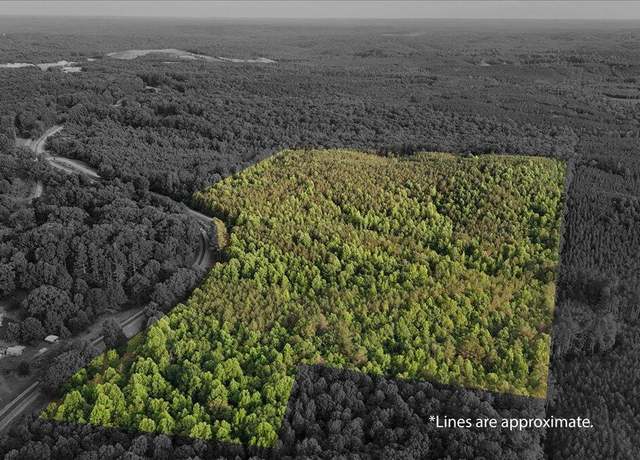Property at 0 Tucker Rd, Lynn, AL 35575