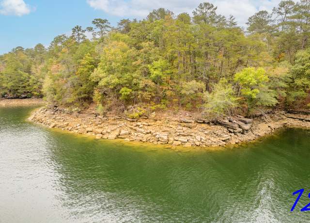 Property at LOT 12 Ryan's Vw, Crane Hill, AL 35053