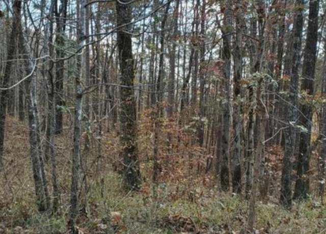 Property at LOT 13/14 Randolph Cv, Jasper, AL 35503