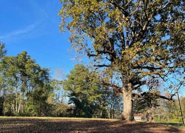 Property at 710 Iron Mountain Rd, Carbon Hill, AL 35549