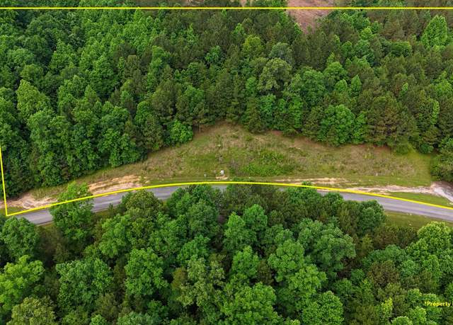 Property at Lots 218 And 219 Stoney Pt, Double Springs, AL 35553