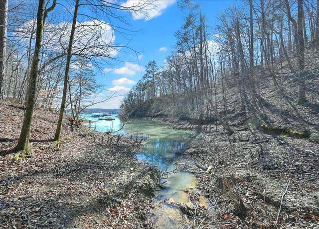 Property at 0 Co Rd 875, Crane Hill, AL 35053